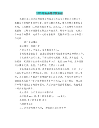 2025年业务部年度总结