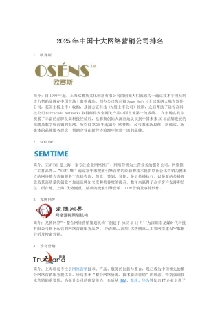 2025年中国十大网络营销公司排名