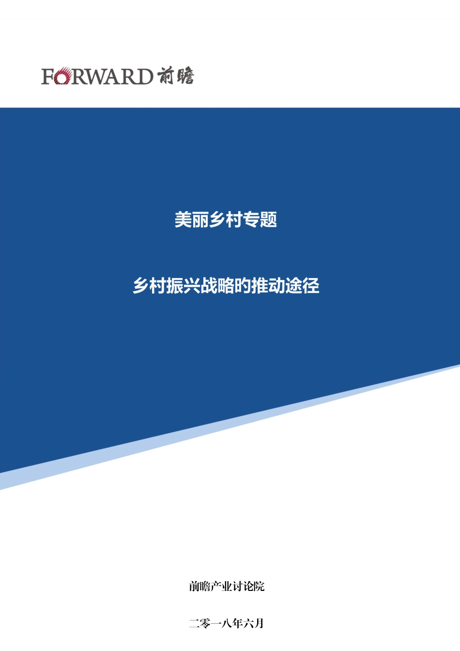 2025年乡村振兴战略的推进路径_第1页