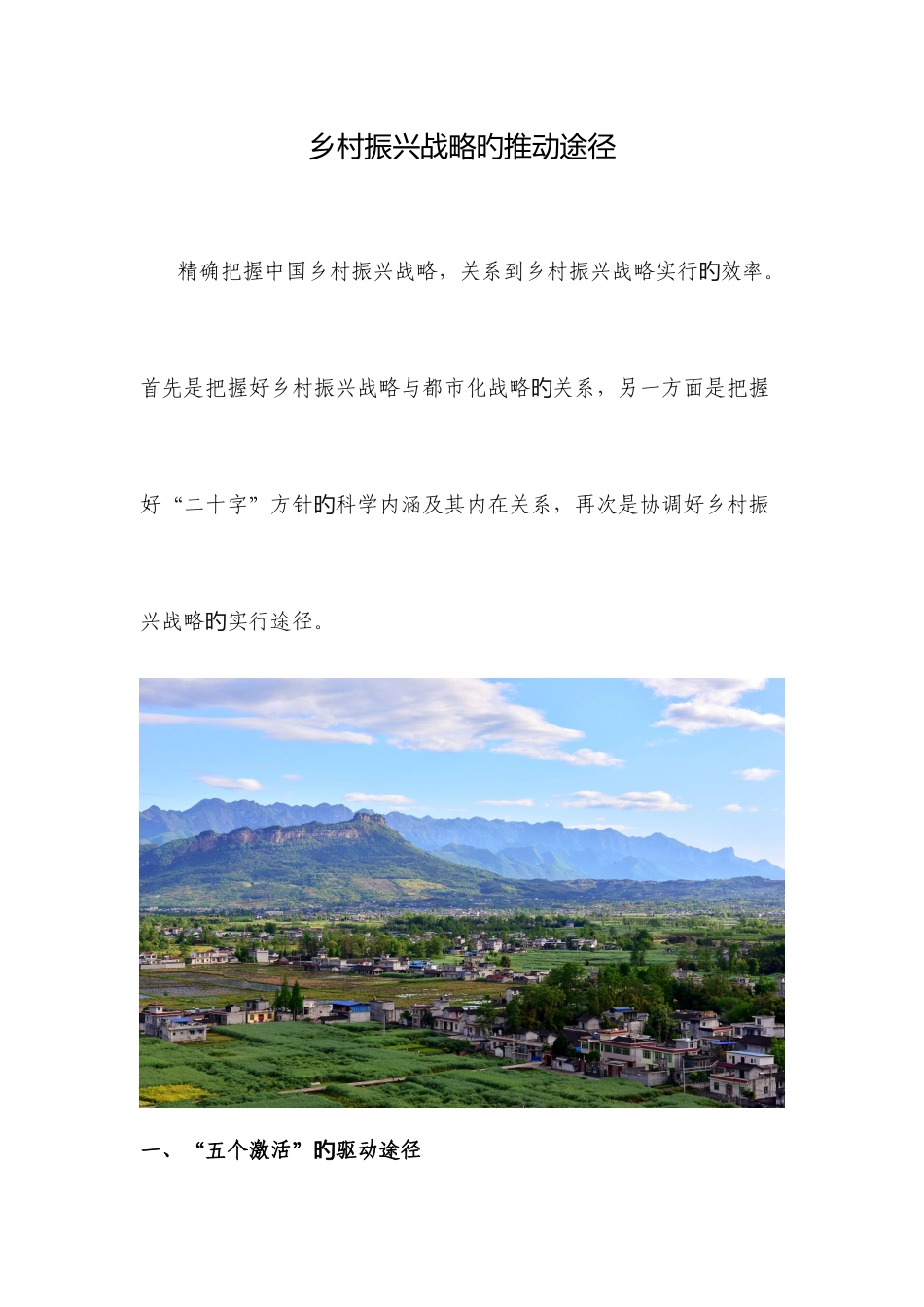 2025年乡村振兴战略的推进路径_第2页