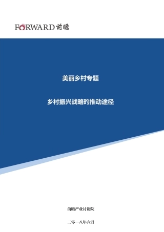 2025年乡村振兴战略的推进路径