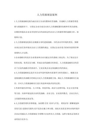 2025年人力资源规划案例