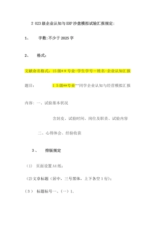 2025年企业认知与ERP沙盘模拟实验报告要求