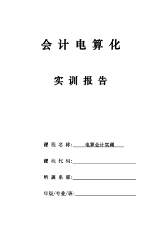 2025年会计电算化实验报告2