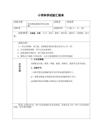 2025年六年级下册小学科学实验报告单