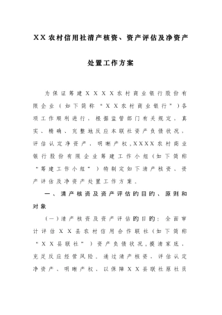 2025年农村信用社清产核资资产评估及净资产处置工作方案