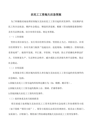 2025年农民工工资拖欠应急预案措施