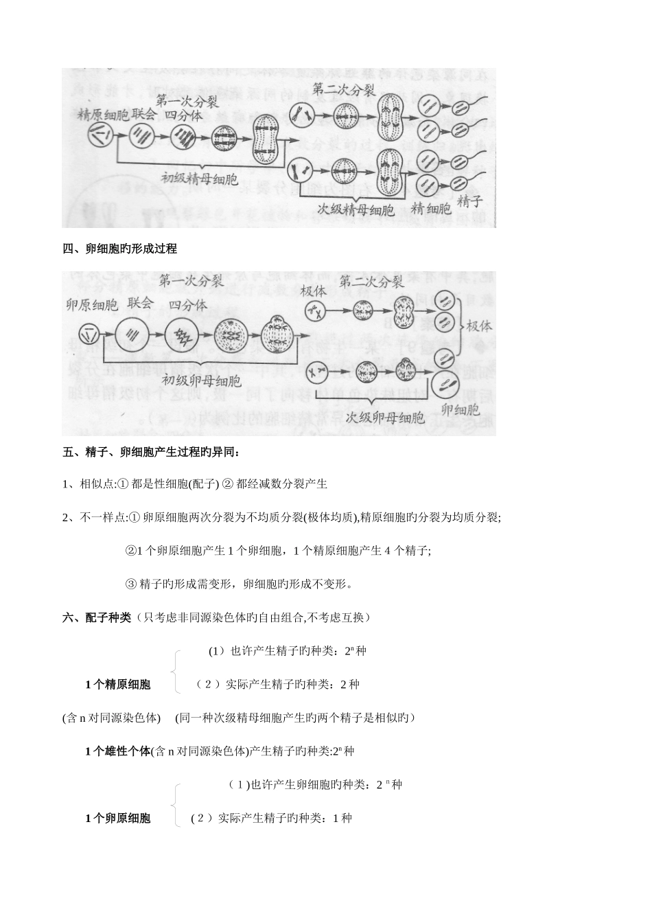 2025年减数分裂和有性生殖知识点归纳_第2页