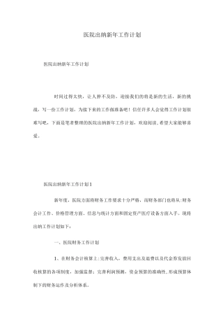 2025年医院出纳新年工作计划
