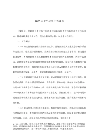 2025年卫生应急工作要点