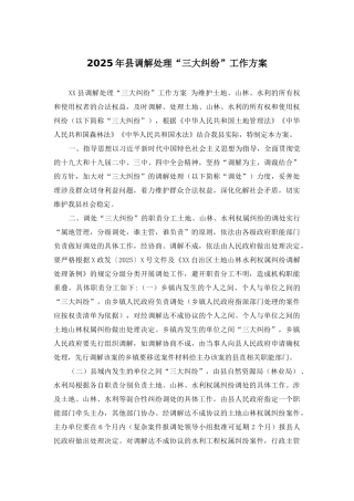 2025年县调解处理“三大纠纷”工作方案