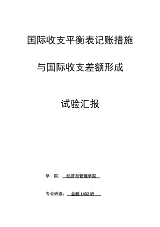 2025年国际收支平衡表记账方法与国际收支差额形成实验报告