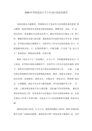 2025年学院宪法小卫士行动计划总结报告