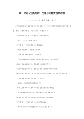2025年审计师考试初级审计理论与实务模拟真题及答案