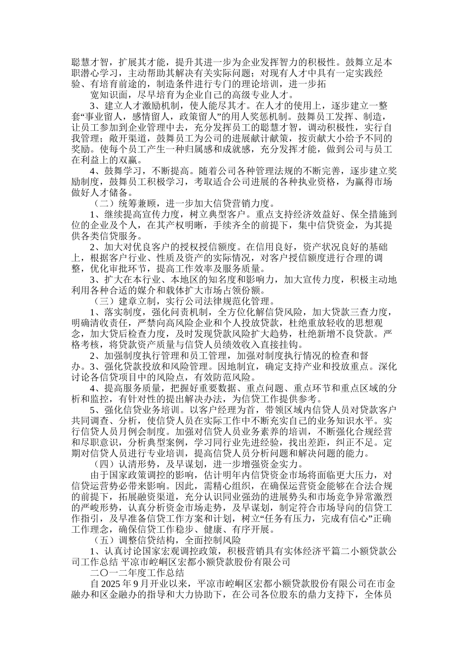 2025年小额贷款公司工作总结_第2页