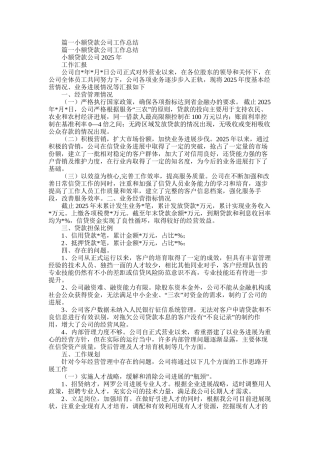 2025年小额贷款公司工作总结
