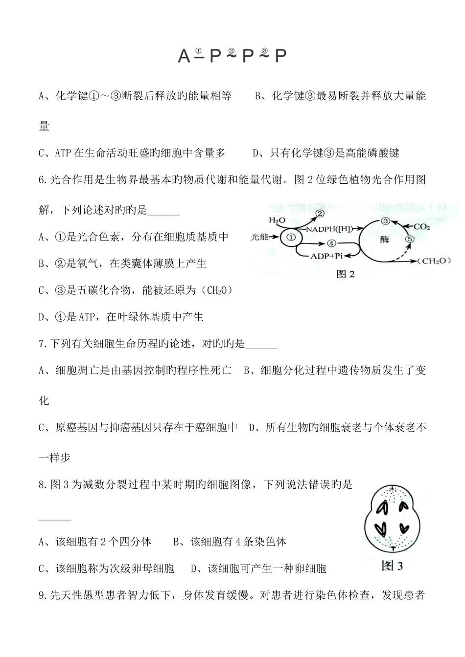 2025年山东省夏季普通高中学业水平考试会考生物试题及答案精较版_第2页