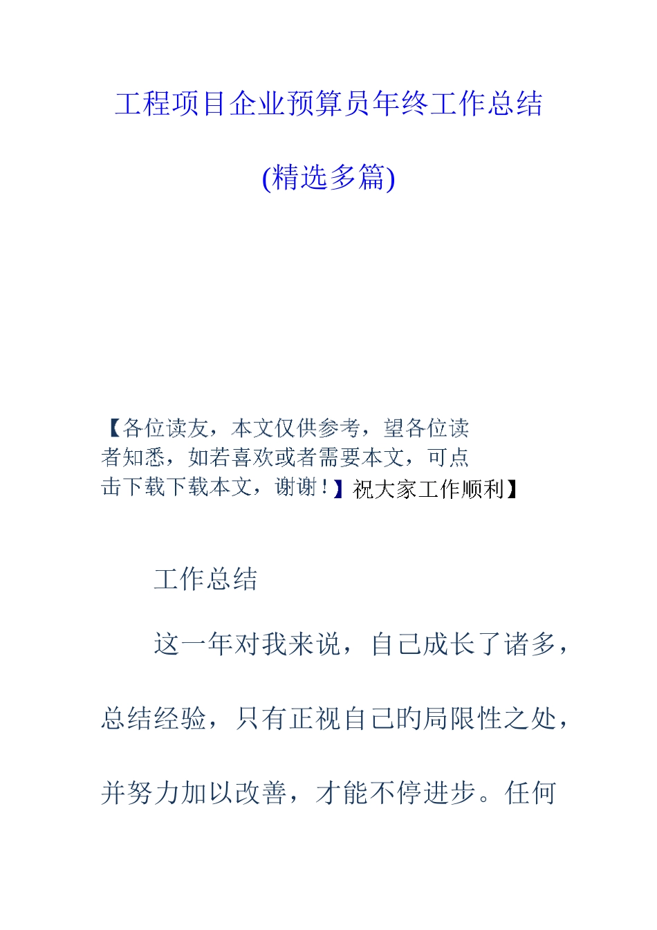 2025年工程项目公司预算员年终工作总结精选多篇_第1页