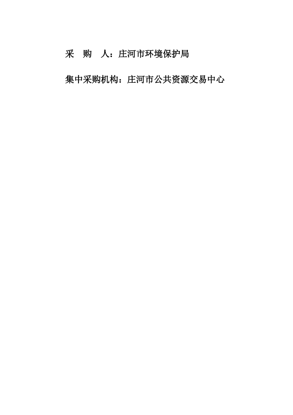 2025年庄河市尾矿库环境风险评估及编制环境应急预案采购项目_第2页