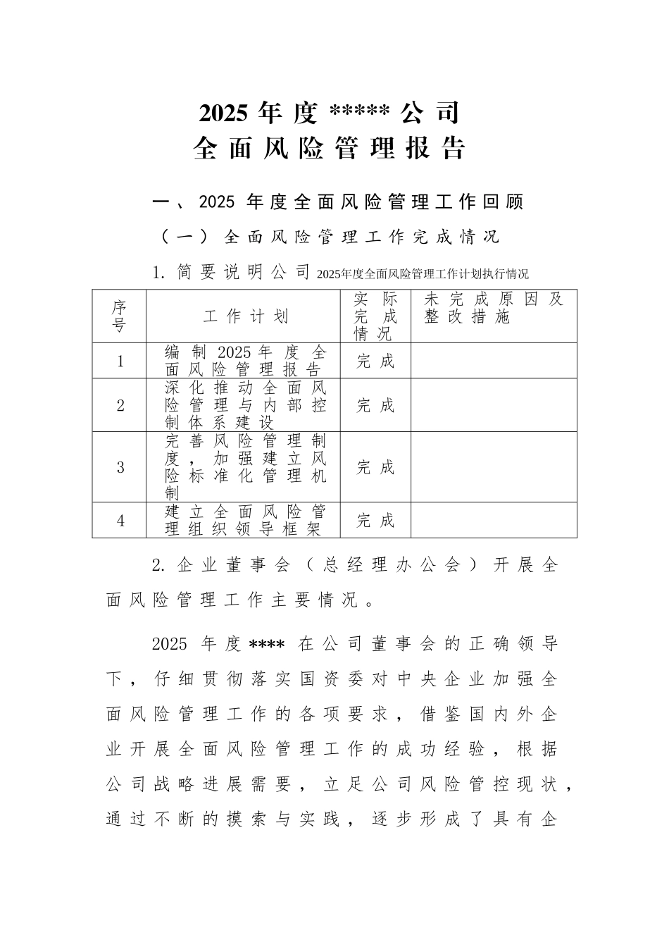 2025年度公司全面风险管理报告_第1页