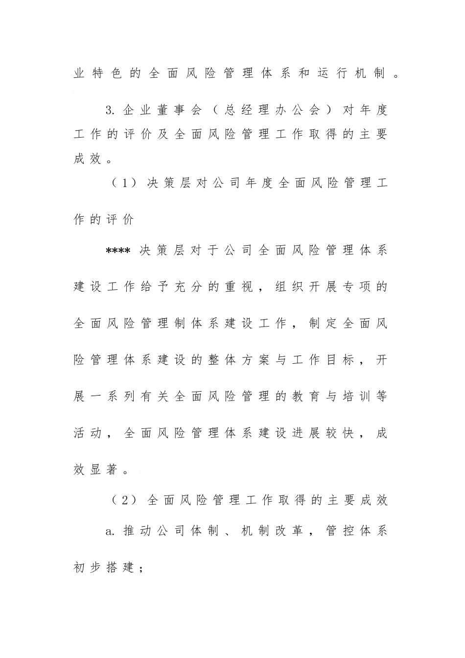 2025年度公司全面风险管理报告_第2页