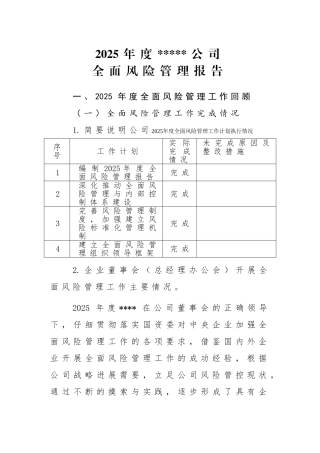 2025年度公司全面风险管理报告