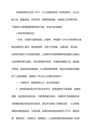2025年度小学教师年度总结