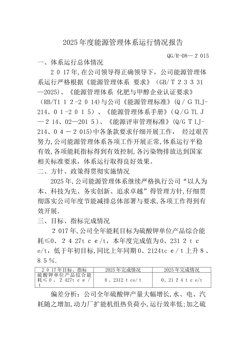 2025年度能源管理体系运行情况报告_第1页