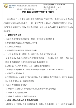 2025年度薪资绩效专员工作计划
