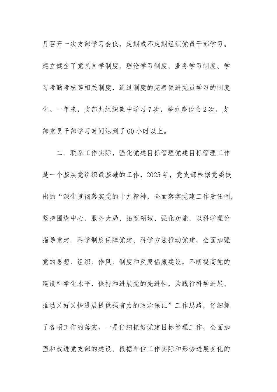 2025年支部工作总结_第3页