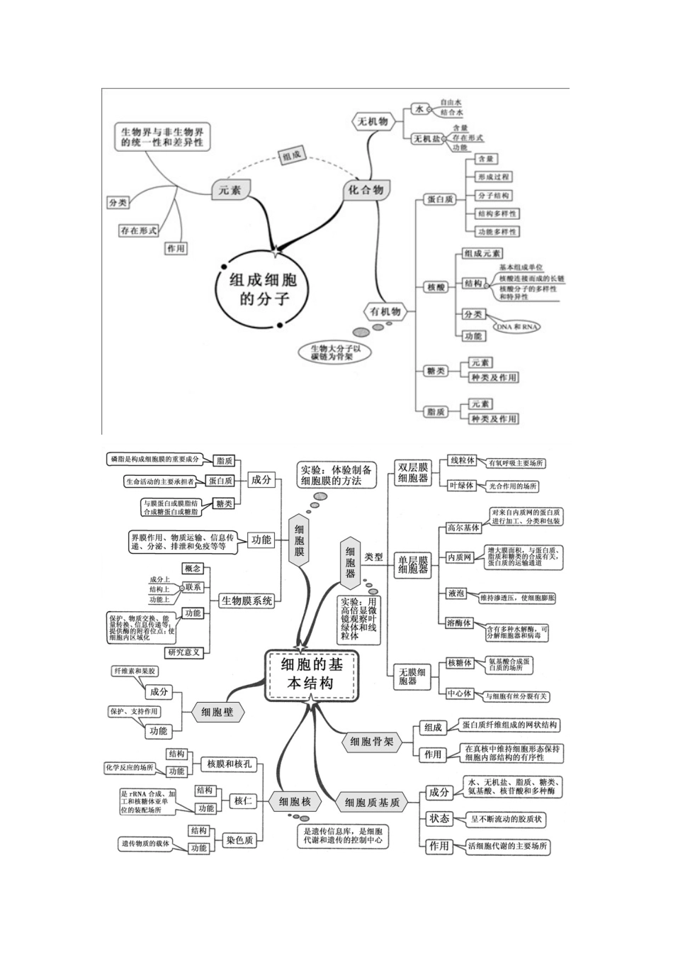2025年新课标高中生物全套思维导图_第1页