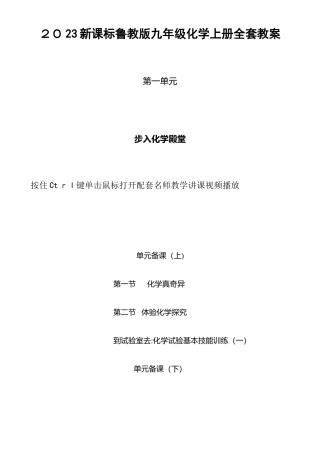 2025年新课标鲁教版九年级化学上册全套教案