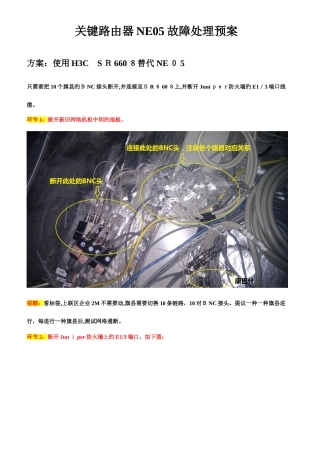 2025年核心路由器应急预案