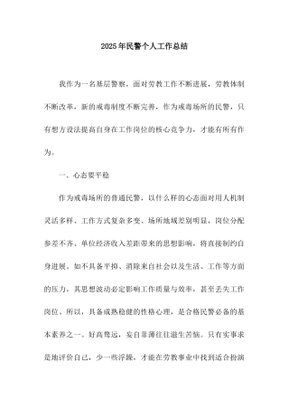 2025年民警个人工作总结