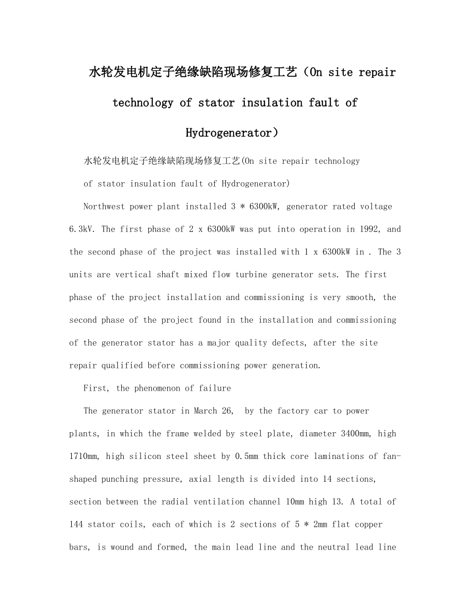 2025年水轮发电机定子绝缘缺陷现场修复工艺_第1页