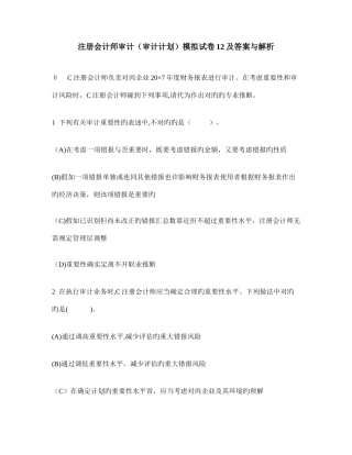 2025年注册会计师审计审计计划模拟试卷及答案与解析