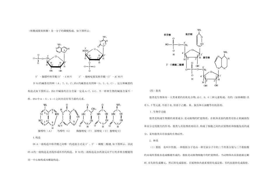 2025年生物竞赛知识点_第3页