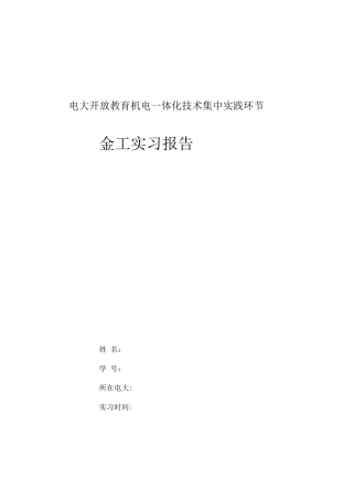 2025年电大机电一体化实习报告作业模板