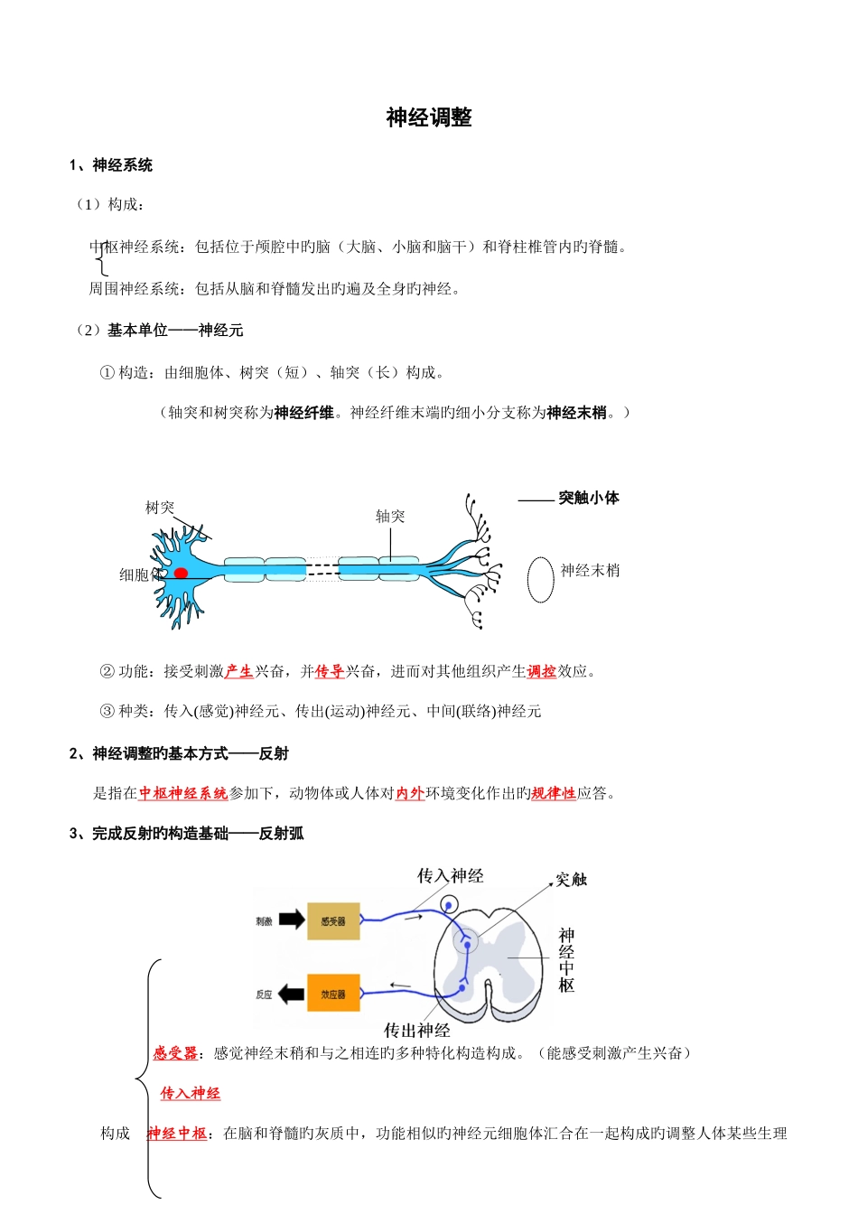 2025年神经体液免疫调节知识点练习答案教案_第1页