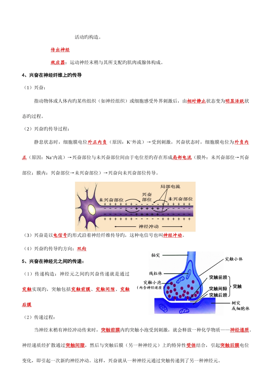 2025年神经体液免疫调节知识点练习答案教案_第2页