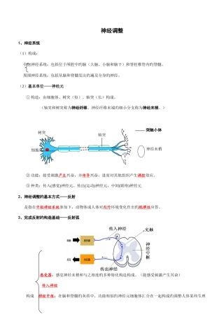2025年神经体液免疫调节知识点练习答案教案