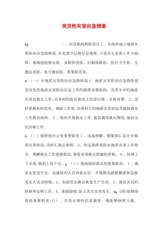 2025年突发性灾害应急预案