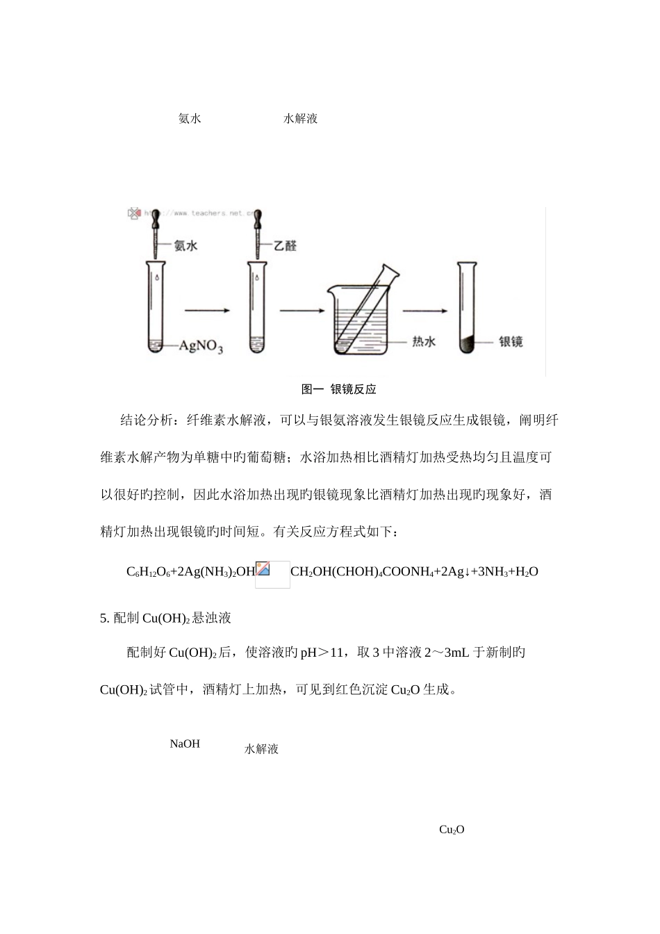 2025年纤维素的水解实验报告_第3页