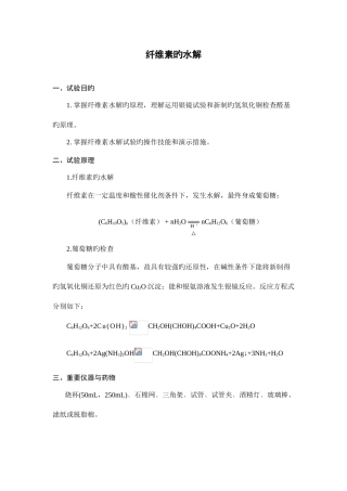 2025年纤维素的水解实验报告