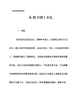 2025年经典营销策划案例从万到亿