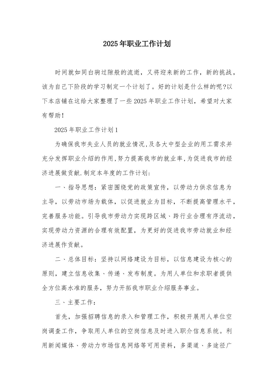 2025年职业工作计划_第2页