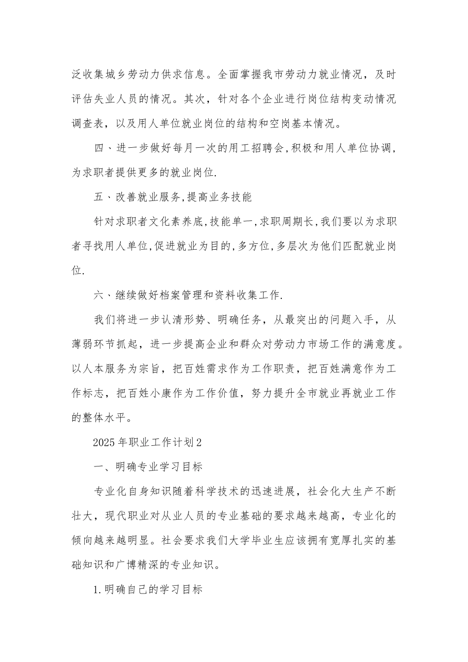 2025年职业工作计划_第3页