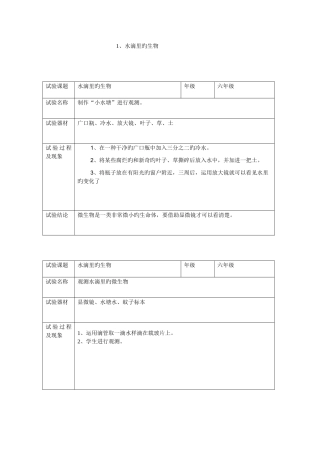2025年苏教版科学六年上实验报告