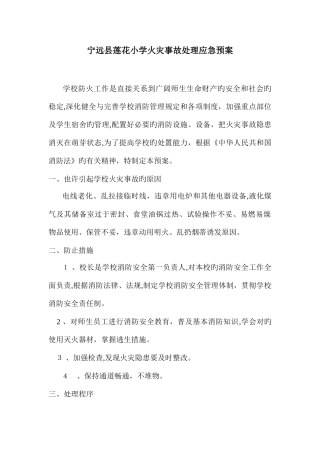 2025年莲花小学火灾事故处理应急预案