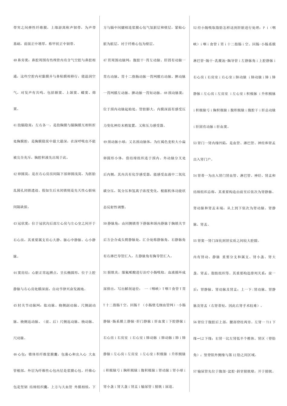 2025年解剖知识点总结_第3页